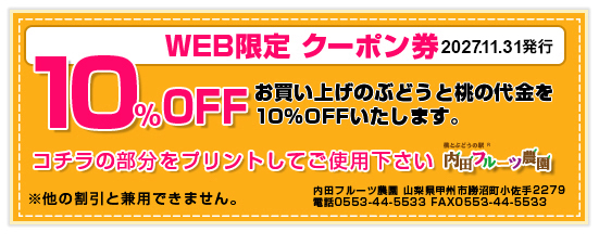 WEB限定　クーポン券 10%OFF