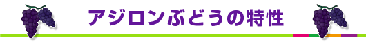 アジロンぶどうの特性